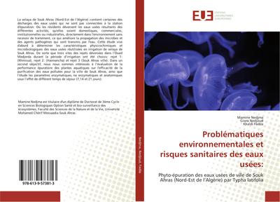 Problématiques environnementales et risques sanitaires des eaux usées: