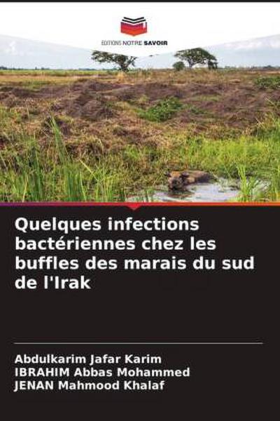 Quelques infections bactériennes chez les buffles des marais du sud de l’Irak