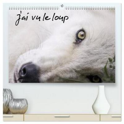 J’ai vu le loup  (Calendrier mural 2026 DIN A2 vertical) calendrier de bureau