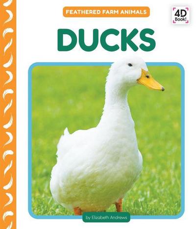 Ducks