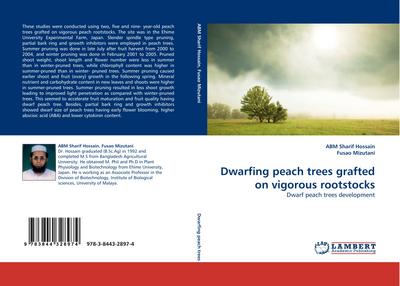 Dwarfing peach trees grafted on vigorous rootstocks