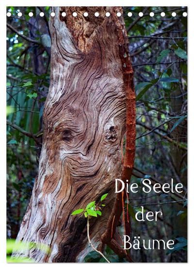 Die Seele der Bäume (Tischkalender 2025 DIN A5 hoch), CALVENDO Monatskalender
