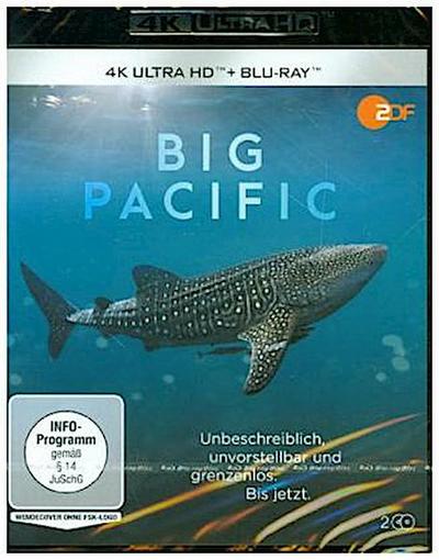 Big Pacific