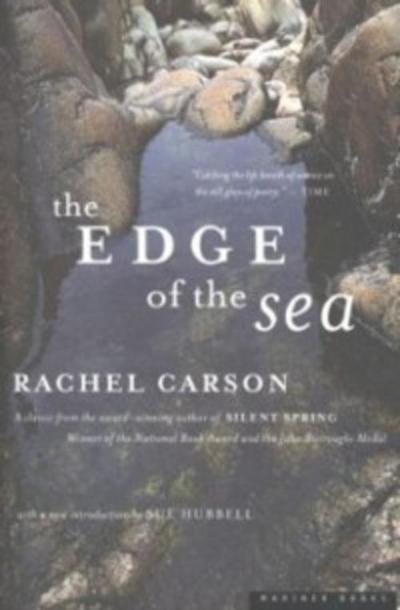 Edge of the Sea
