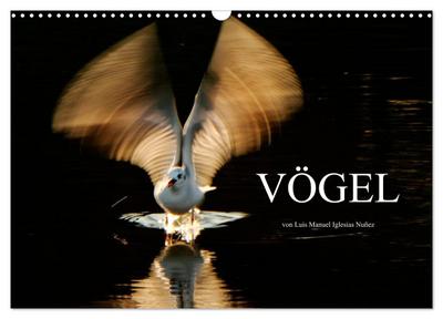 VÖGEL (Wandkalender 2026 DIN A3 quer), CALVENDO Monatskalender