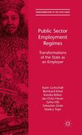 Public Sector Employment Regimes