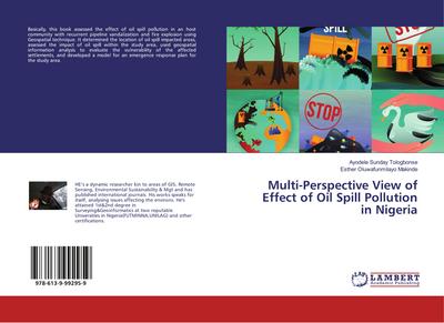 Multi-Perspective View of Effect of Oil Spill Pollution in Nigeria