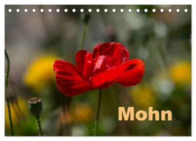 Mohn (Tischkalender 2024 DIN A5 quer), CALVENDO Monatskalender