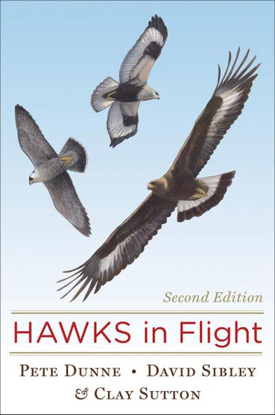 Hawks in Flight