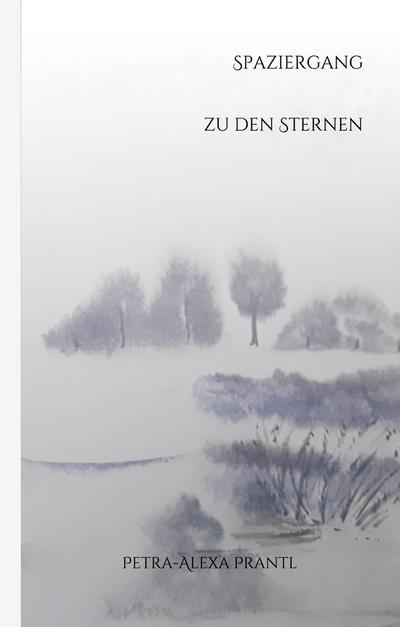 Spaziergang zu den Sternen