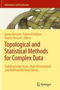 Topological and Statistical Methods for Complex Da