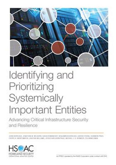 Identifying and Prioritizing Systemically Important Entities