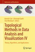 Topological Methods in Data Analysis and Visualiza