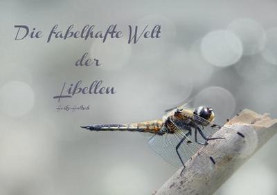 Die fabelhafte Welt der Libellen (Tischaufsteller DIN A5 quer)