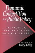 Dynamic Competition and Public Policy