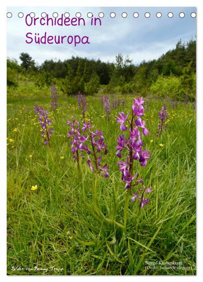 Orchideen in Südeuropa (Tischkalender 2024 DIN A5 hoch), CALVENDO Monatskalender