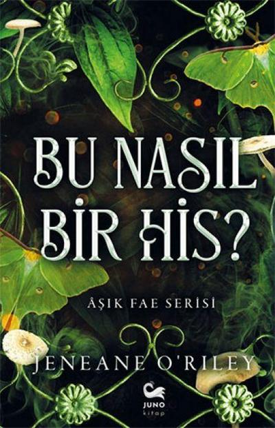 Bu Nasil Bir His