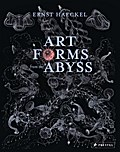 Art Forms from the Abyss