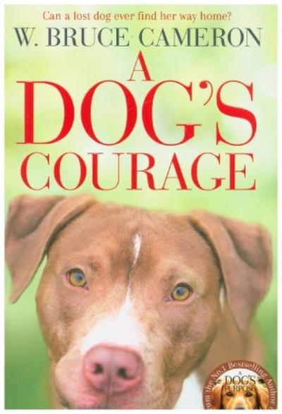 A Dog’s Courage