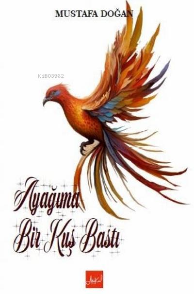 Ayagima Bir Kus Basti