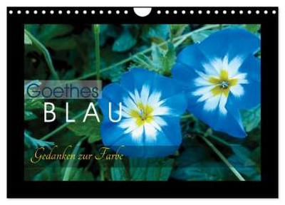 Goethes Blau. Gedanken zur Farbe (Wandkalender 2026 DIN A4 quer), CALVENDO Monatskalender