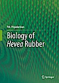 Biology of Hevea Rubber