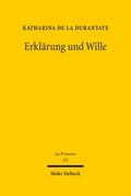 Erklärung und Wille