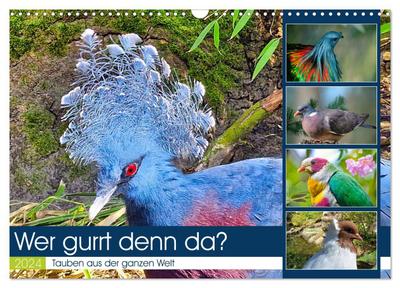 The Common Moss and Freedom-Hill of Old Aberdeen