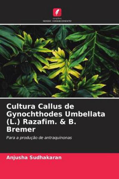 Cultura Callus de Gynochthodes Umbellata (L.) Razafim. & B. Bremer
