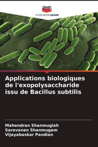 Applications biologiques de l’exopolysaccharide issu de Bacillus subtilis
