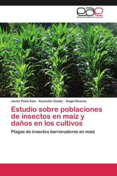 Estudio sobre poblaciones de insectos en maíz y daños en los cultivos