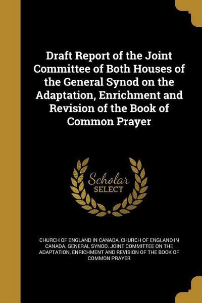 DRAFT REPORT OF THE JOINT COMM