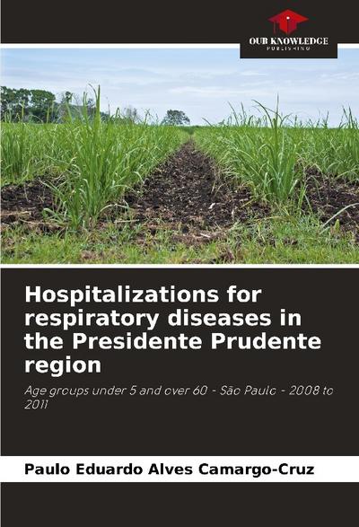 Hospitalizations for respiratory diseases in the Presidente Prudente region