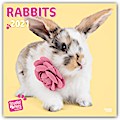 Rabbits - Kaninchen 2021: Original Myrna-Kalender [Mehrsprachig] [Kalender] (Wall-Kalender)