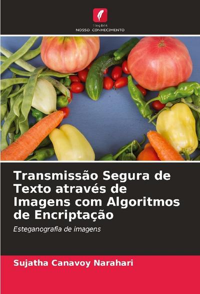 Transmissão Segura de Texto através de Imagens com Algoritmos de Encriptação