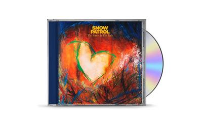 The Forest Is The Path