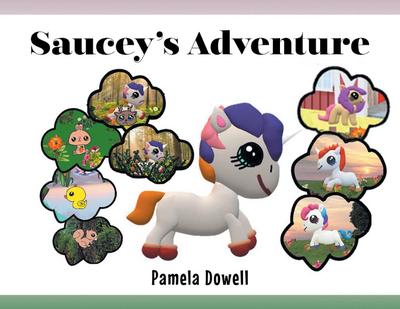 Saucey’s Adventure