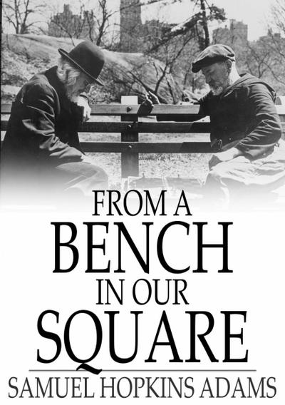 From a Bench in Our Square