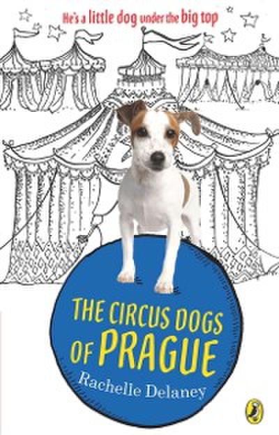 Circus Dogs of Prague