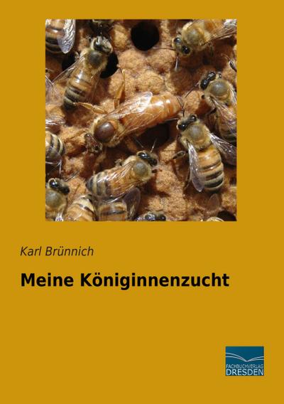 Meine Königinnenzucht