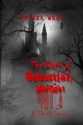 The Birth of Sebastian McNight