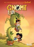 Die Gnome von Troy 4