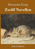 Zwölf Novellen