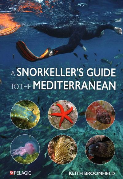 Snorkeller’s Guide to the Mediterranean