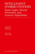 Intelligent Hybrid Systems