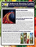 Cholesterol Busting Guide: