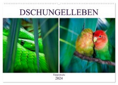 Dschungelleben - Tierportraits (Wandkalender 2024 DIN A2 quer), CALVENDO Monatskalender