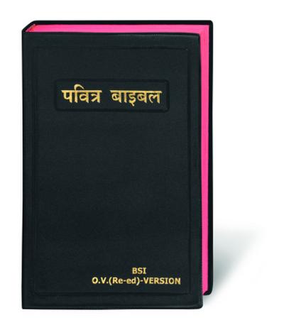 Bibel Hindi / Holy Bible Hindi, traditionelle Übersetzung