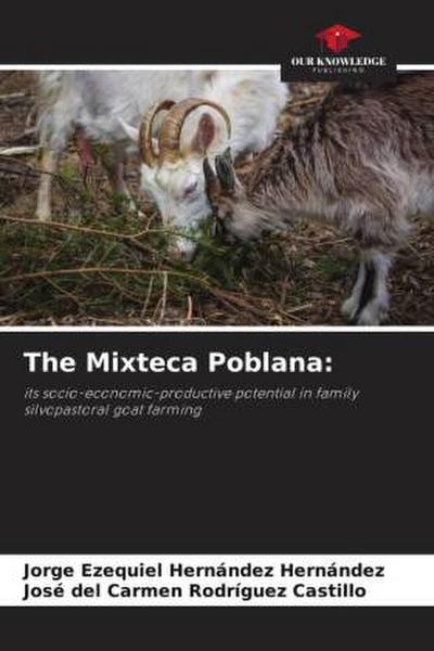 The Mixteca Poblana: