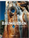 Baumriesen der Schweiz